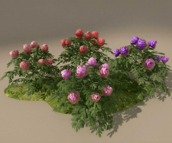 Modern Plant Pile-ID:116996056