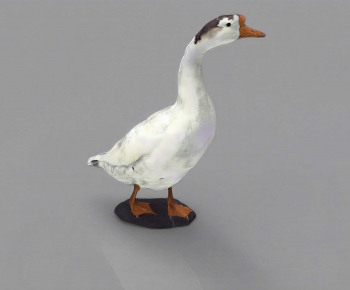 Modern Poultry Animal-ID:593214041