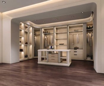 Modern Clothes Storage Area-ID:312824965