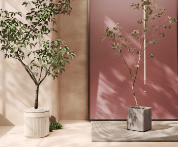 Modern Ground Green Plant Potted Plants-ID:100889212