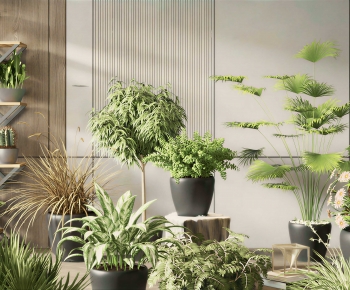 Modern Ground Green Plant Potted Plants-ID:246407037