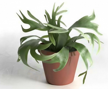 Modern Potted Green Plant-ID:202291971