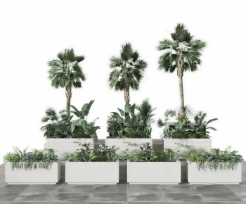 Modern Flower Bed, Flower Bowl, Flower Box-ID:479519473