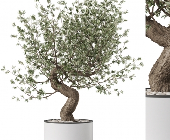 Modern Ground Green Plant Potted Plants-ID:210489998