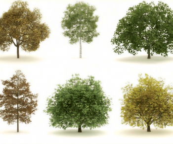 Modern Tree-ID:699243075