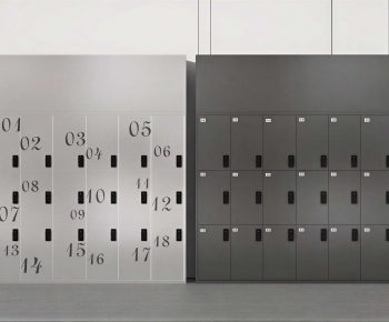 Modern Public Cabinet/lock Cabinet-ID:776400666