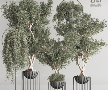Modern Ground Green Plant Potted Plants-ID:378761052