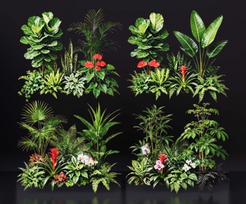 Modern Plant Pile-ID:216475011