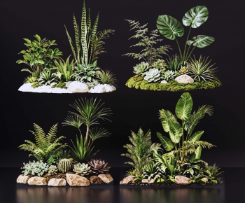 Modern Plant Pile-ID:228681091