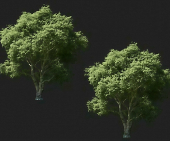 Modern Tree-ID:645628933
