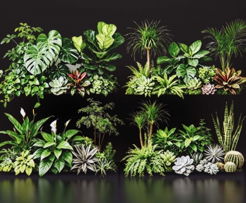 Modern Plant Pile-ID:474226009