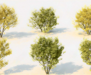 Modern Tree-ID:883733034
