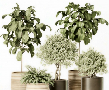Modern Ground Green Plant Potted Plants-ID:425396924