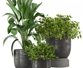 Modern Ground Green Plant Potted Plants-ID:839259617