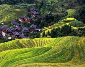 ModernScenery