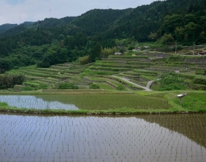 ModernScenery