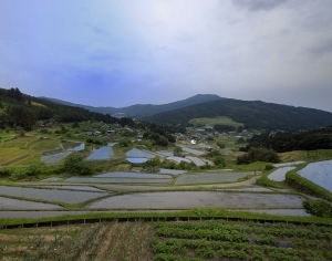 ModernScenery