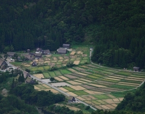 ModernScenery
