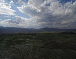 ModernScenery