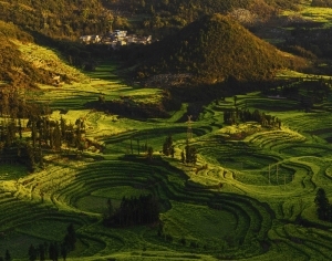 ModernScenery