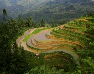 ModernScenery