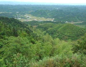 ModernScenery