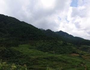 ModernScenery