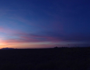 ModernScenery