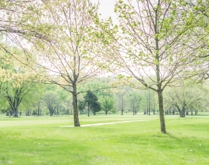ModernScenery
