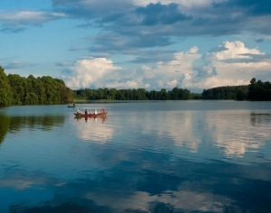 ModernScenery