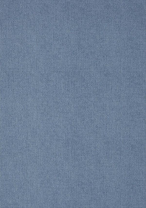 ModernFabric Linen