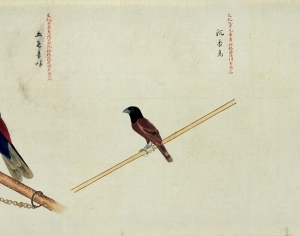 New Chinese StyleChinese Style Painting