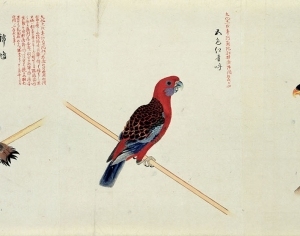 New Chinese StyleAnimal Painting