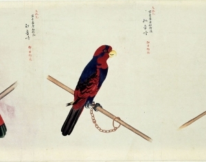 New Chinese StyleAnimal Painting