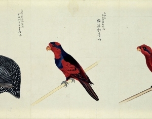 New Chinese StyleAnimal Painting