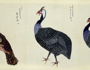 New Chinese StyleAnimal Painting