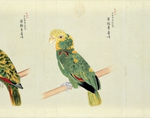 New Chinese StyleAnimal Painting