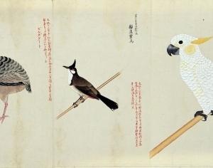 New Chinese StyleAnimal Painting