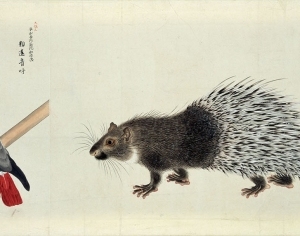 New Chinese StyleAnimal Painting