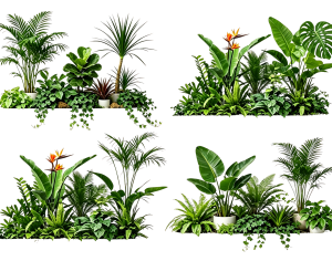 ModernPlant Leaves