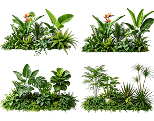 ModernPlant Leaves