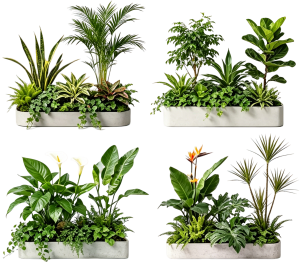 ModernPlant Leaves