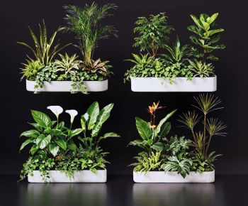 Modern Plant Pile-ID:442079076