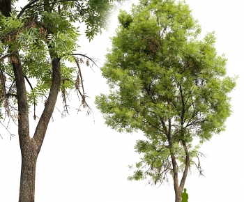 Modern Tree/shrub/grass-ID:729080928