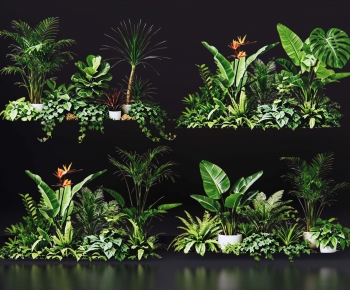 Modern Plant Pile-ID:241480114