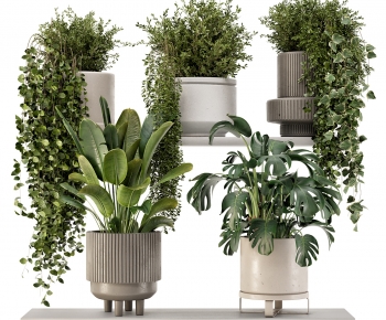 Modern Ground Green Plant Potted Plants-ID:849337103