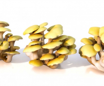 Modern Vegetables-ID:528510091