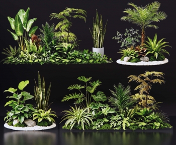 Modern Plant Pile-ID:648961079