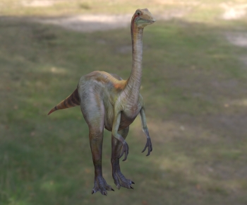 Modern Mammal-ID:461745026