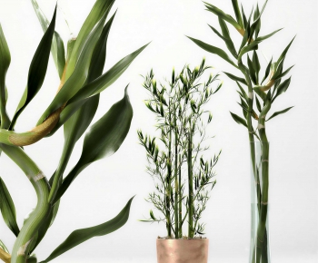 Modern Ground Green Plant Potted Plants-ID:424215085